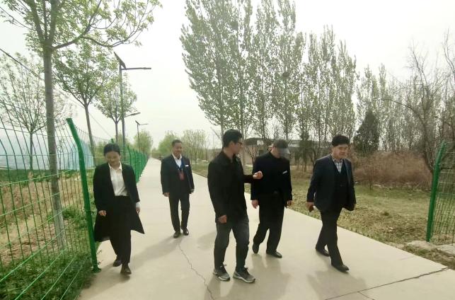 图片4