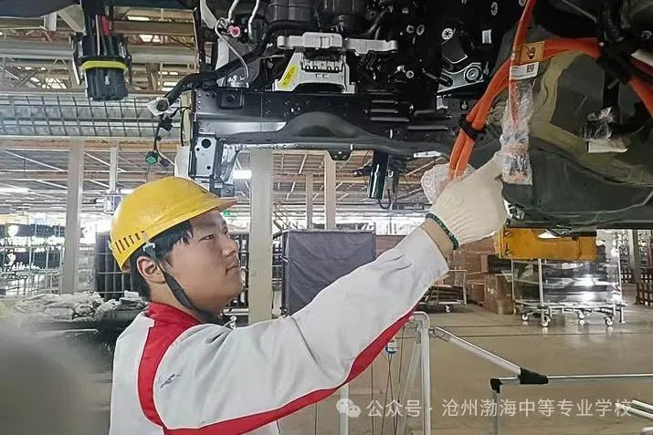 微信图片_20241029082320